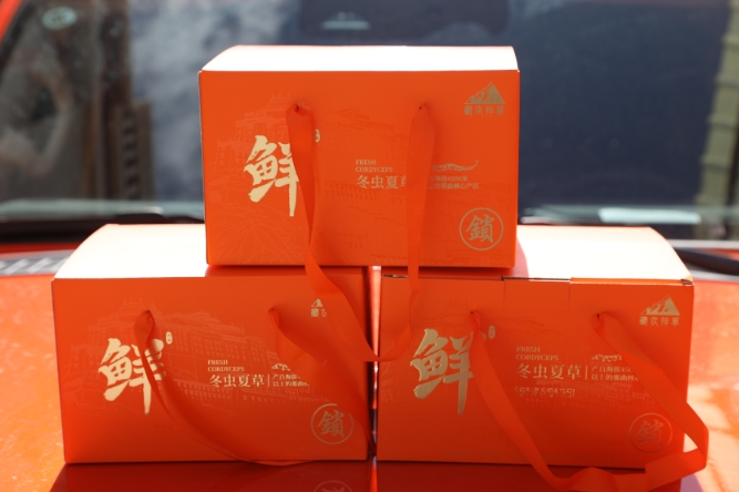 原鮮冬蟲夏草禮盒